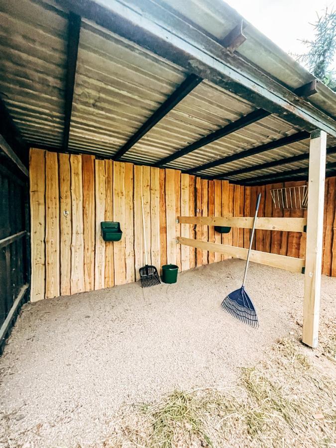 Wunderschoenes Chalet Mit Gaestehaus In Der Natur Mit Fass-Sauna Sangerhausen Εξωτερικό φωτογραφία