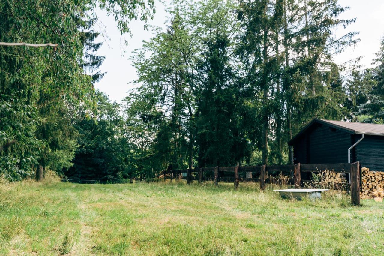 Wunderschoenes Chalet Mit Gaestehaus In Der Natur Mit Fass-Sauna Sangerhausen Εξωτερικό φωτογραφία