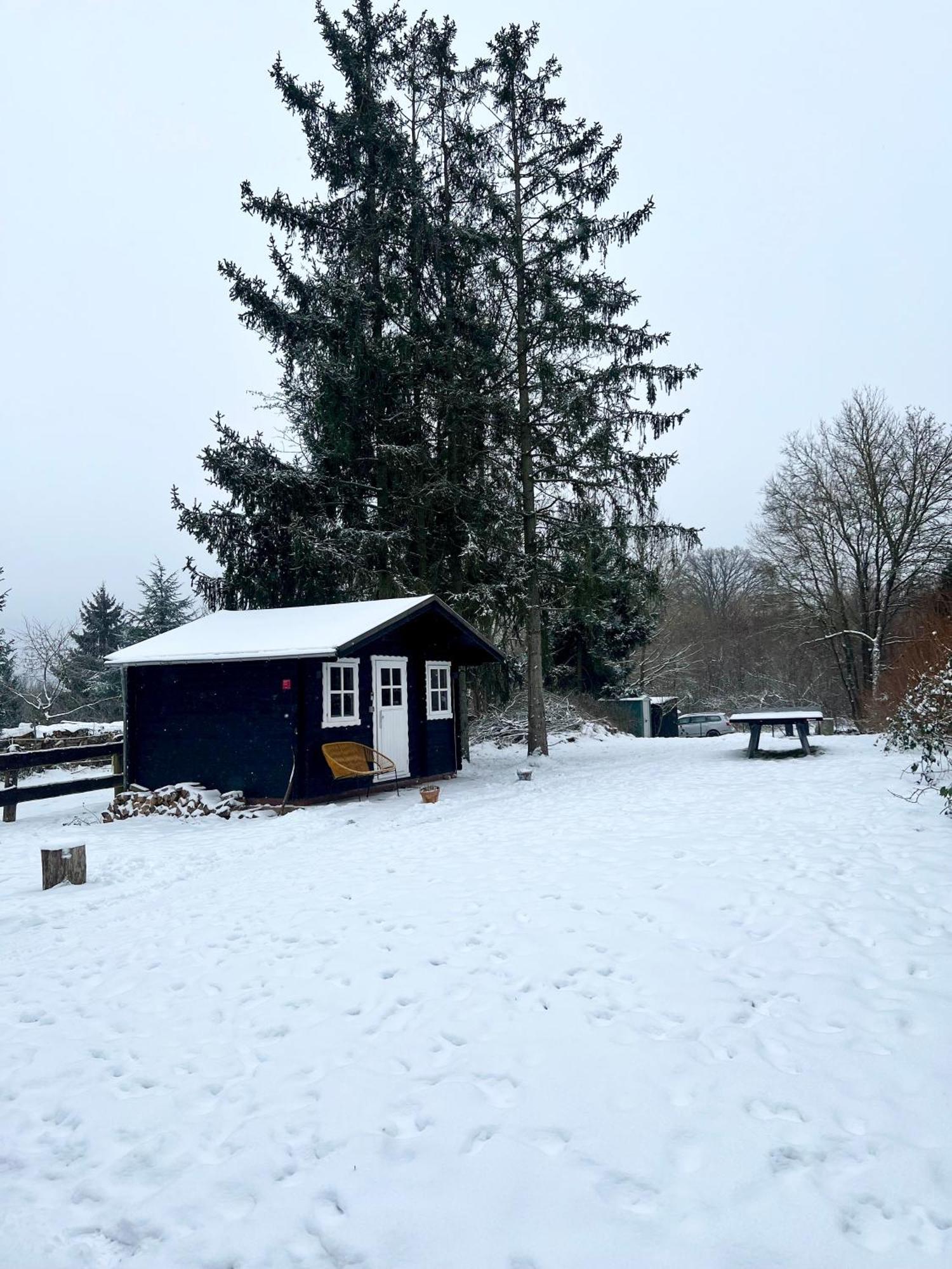 Wunderschoenes Chalet Mit Gaestehaus In Der Natur Mit Fass-Sauna Sangerhausen Εξωτερικό φωτογραφία